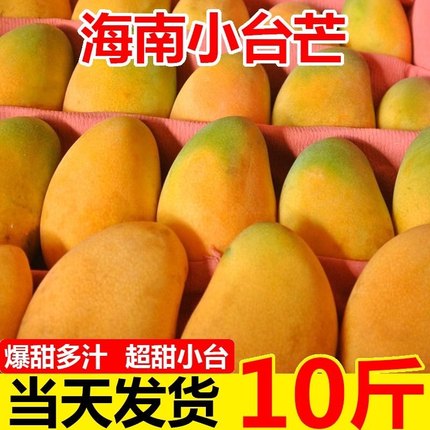 海南小台农芒果新鲜小台芒9斤现摘应当季水果热带芒果整箱10包邮