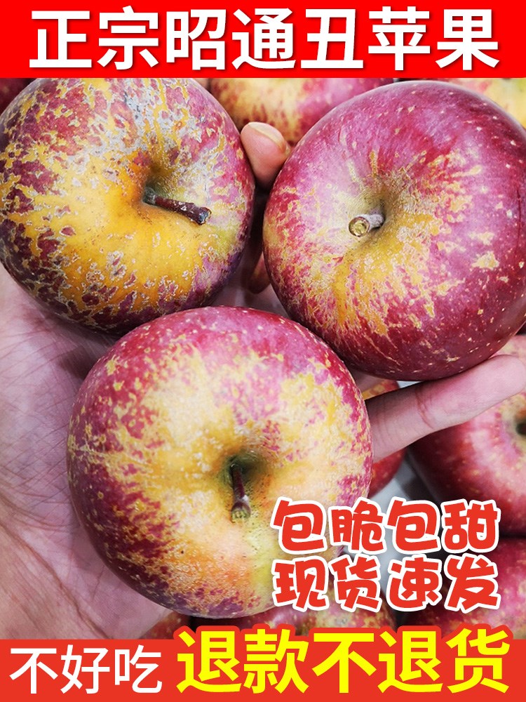 正宗云南昭通苹果新鲜野生丑水果整箱装10斤冰糖心非