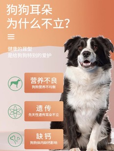 狗狗立耳神器卡斯罗柯基杜宾柴犬法斗德牧立耳贴辅助器雪纳瑞边牧