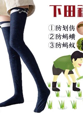 下田插秧袜子栽秧水袜加厚专用脚套男女长筒袜水稻干活防蚂蟥长袜