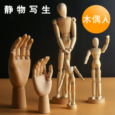 美术漫画12寸木人模型木手木头人