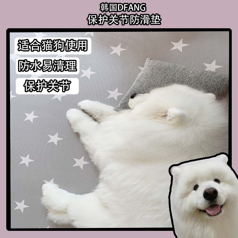 小西同款维护防水四季通用狗狗