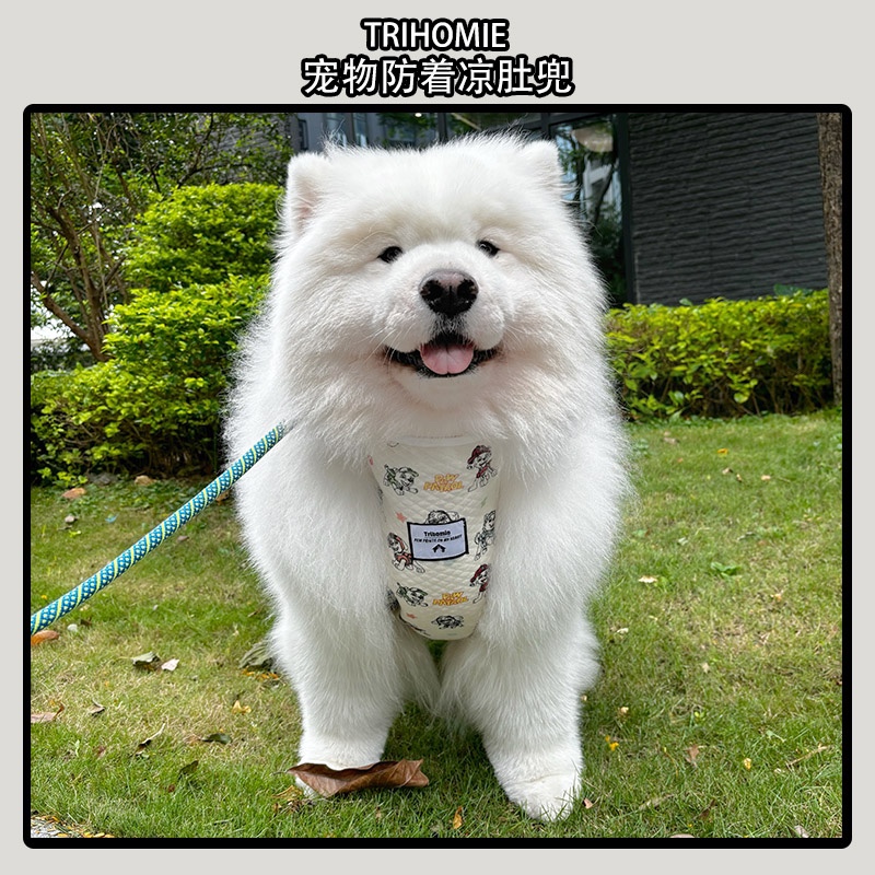Trihomie狗狗夹丝棉防着凉
