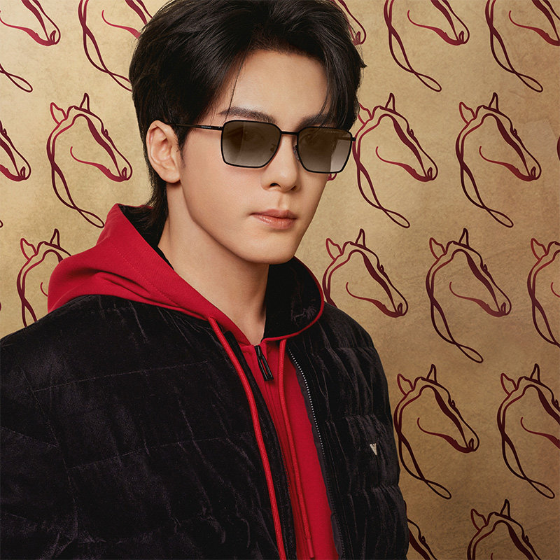 ARMANI【新年限定】【曾舜晞同款】太阳眼镜男墨镜方形0EA2172D