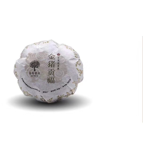 柏联普洱 金猪贡福 生茶 888克 限量版 2019年份 8年老料木礼盒装