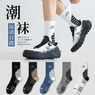 青少年袜子男学生纯棉防臭运动中筒男款 中大童潮牌篮球潮牌诸暨袜