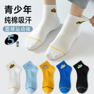 青少年夏季 潮袜 袜子男学生防臭运动袜男大童100%纯棉全棉短袜新款