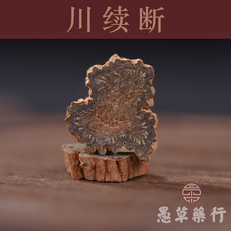 【愚草】川续断 四川属折 接骨龙豆南草 250g/袋