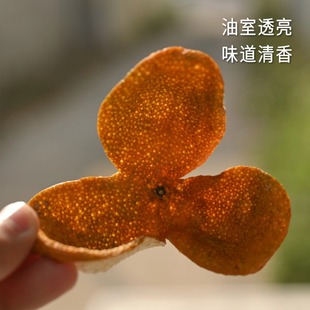 新会陈皮 2025冬至新皮 天马圈枝冬后大红柑 大红皮 愚草