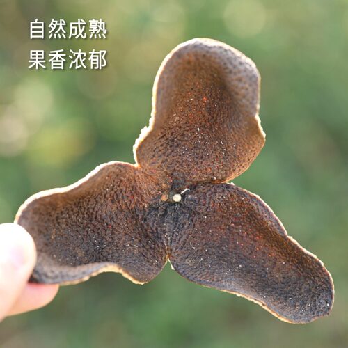 【愚草】 三江驳枝二红柑 2022年干皮新会陈皮三江产区280g/罐