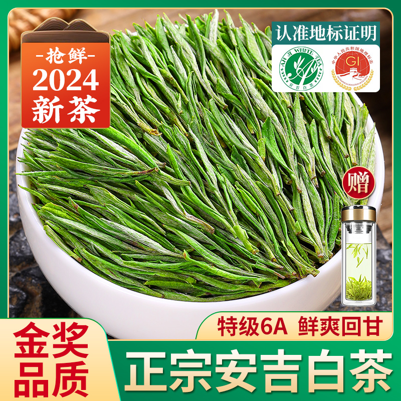 明前头采特级6A安吉白茶2024新茶