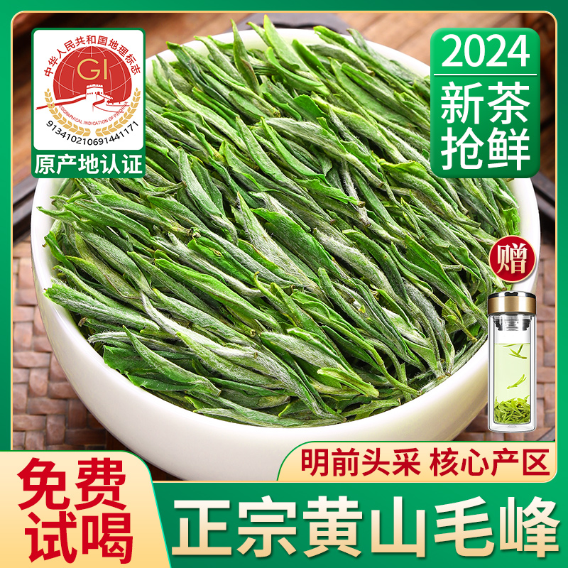 明前头采黄山毛峰2024新茶500g