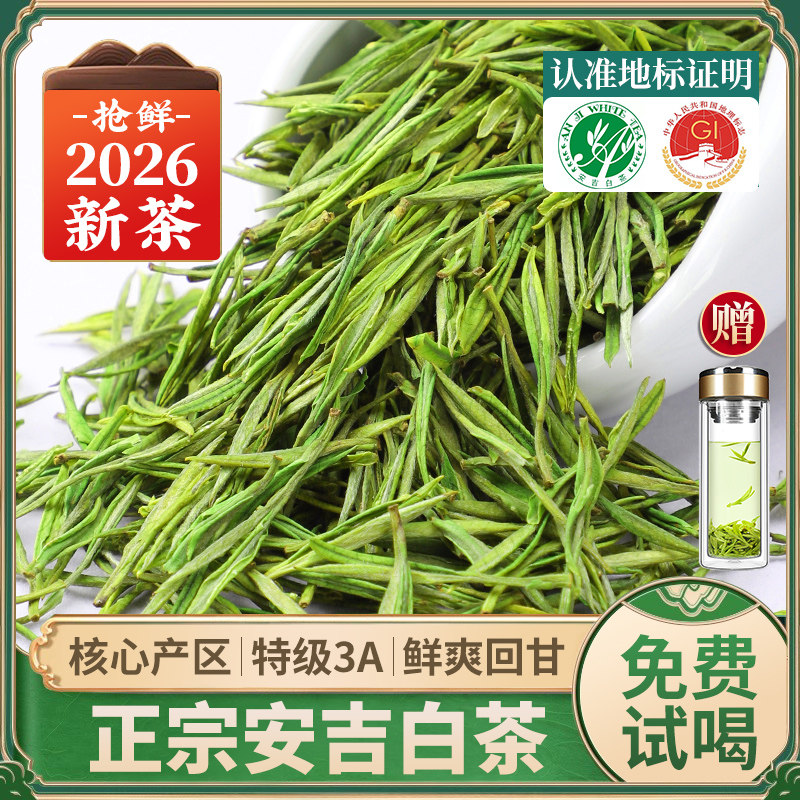 安吉白茶2026新茶特级明前绿茶图片