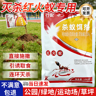 户外公园草坪除红火蚁专用药茚虫威灭蚁饵剂全窝诱杀防治红蚂蚁药