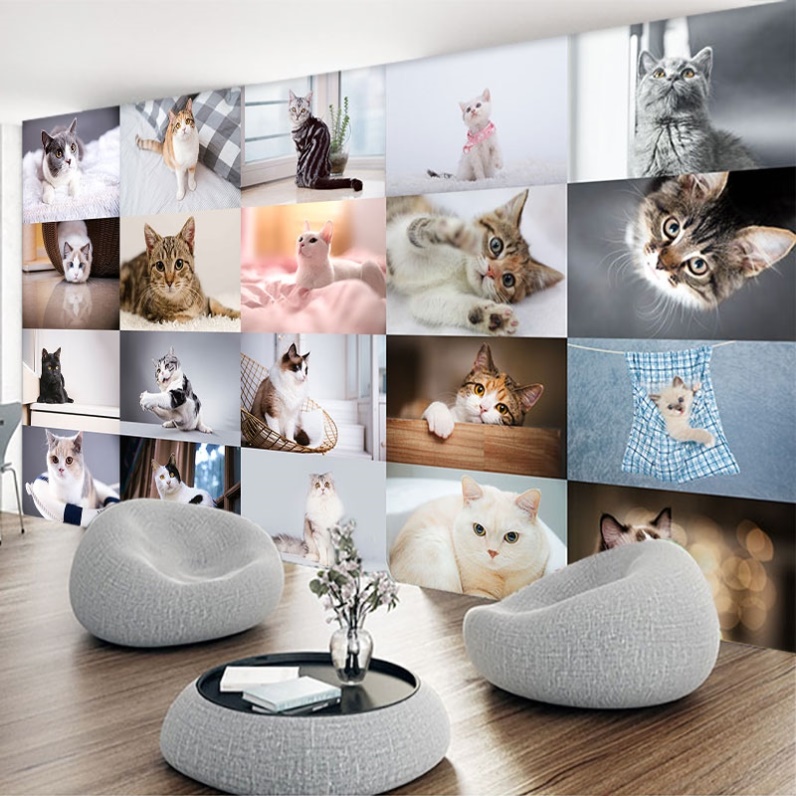 宠物店猫咪壁纸小猫咪照片墙画店铺装修壁纸猫咖墙面装饰品背景图