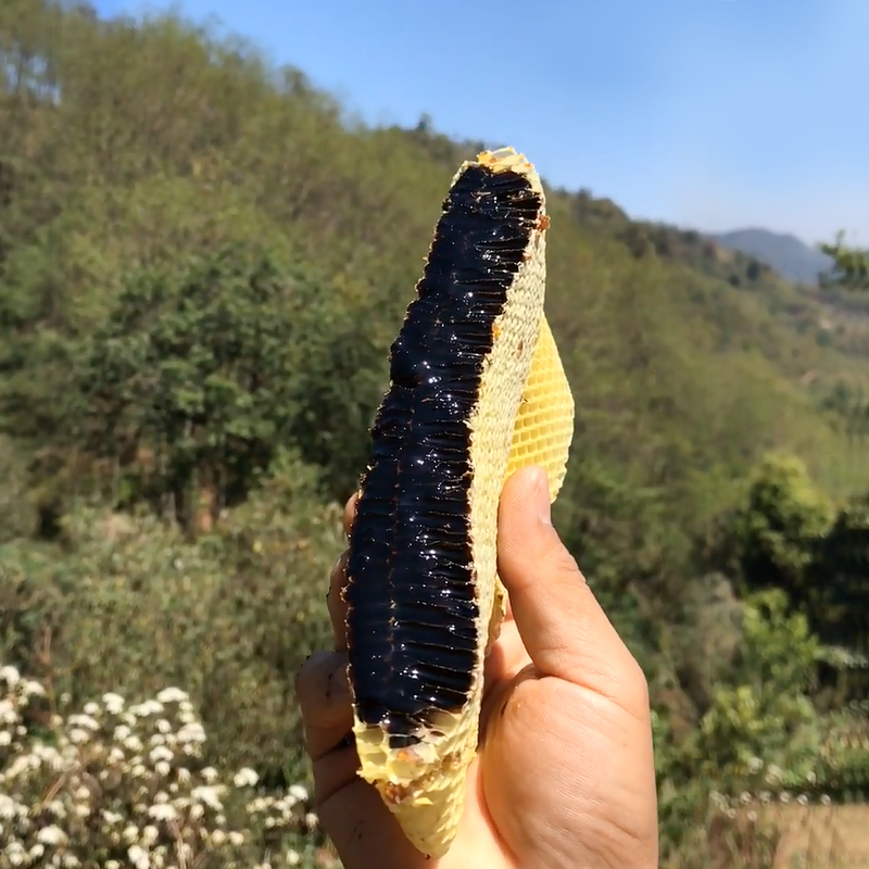 黑蜂蜜云南高山黑蜜米团花蜜天然成熟土蜂蜜农家自产