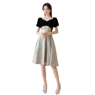 晚礼服裙女高级感宴会气质名媛小个子生日小众轻奢高端丝绒连衣裙