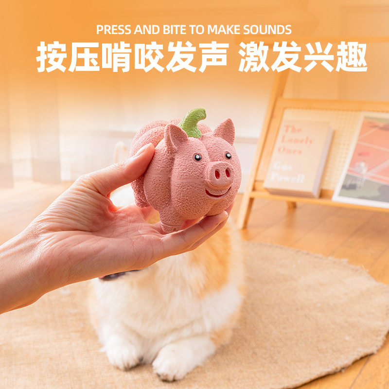 狗狗乳胶磨牙洁齿玩具