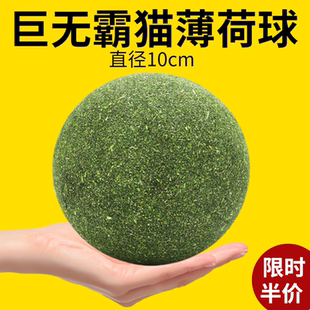 猫咪玩具超大猫薄荷球自嗨解闷神器小猫逗猫棒宠物猫咪用品磨牙