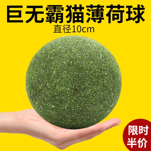 超大猫薄荷球猫咪玩具逗猫棒磨牙