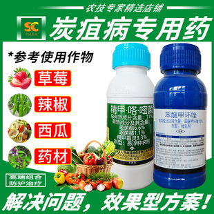 草莓炭疽病专用药辣椒西瓜叶斑病苯醚甲环唑精甲咯嘧菌农药杀菌剂