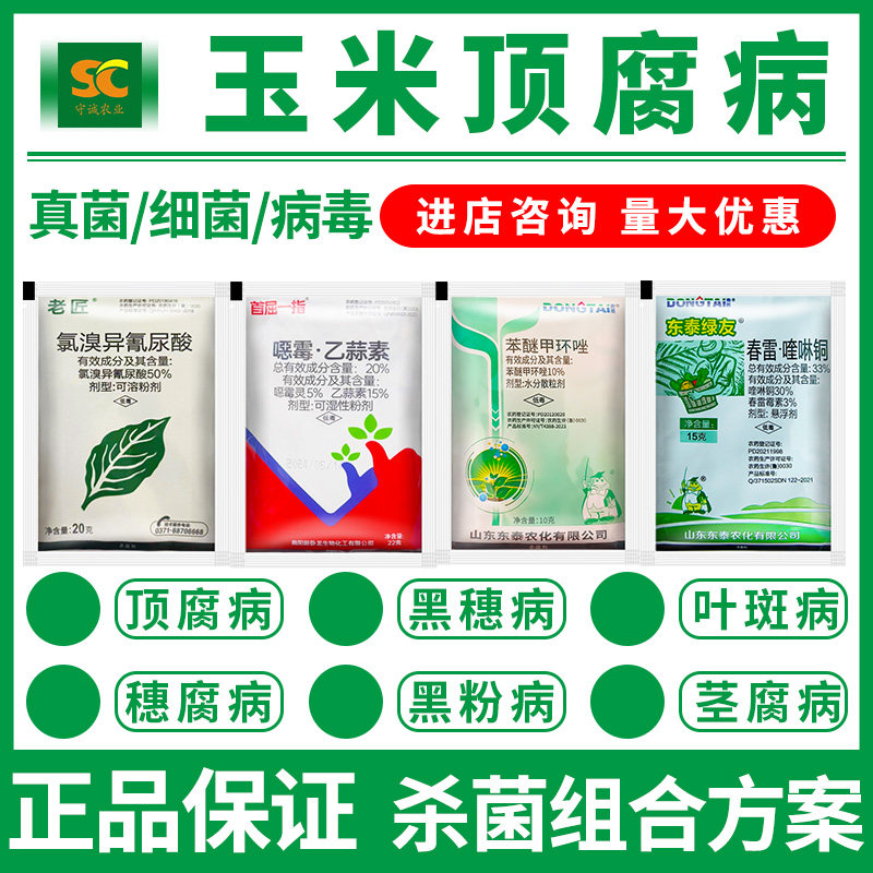 玉米病害一套解决!杀菌高产方案