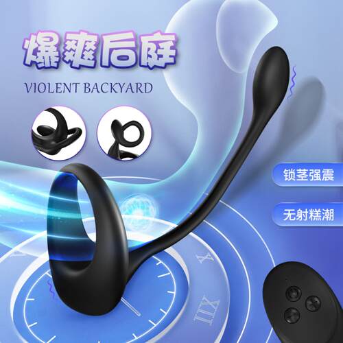 Posterior anus plug Male penis prostate massage Wireless rem