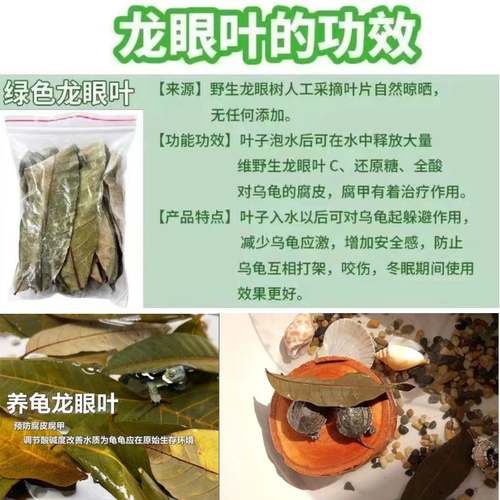 鱼缸龟养龟缸造景龙眼叶大片