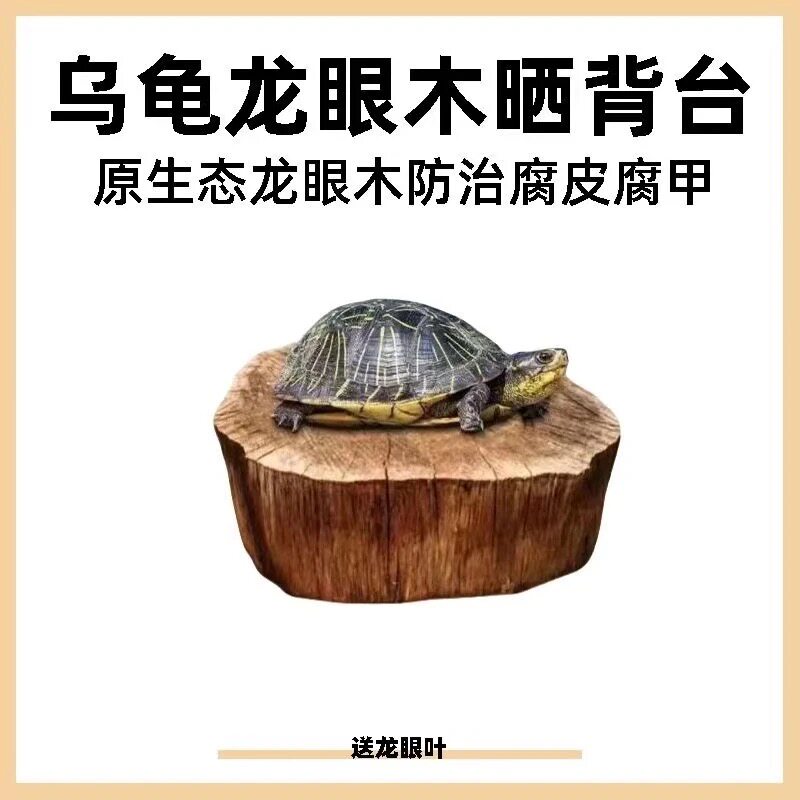 乌龟免煮龙眼木晒背台爬台天然沉木龟缸造景摆件生态缸龙眼叶