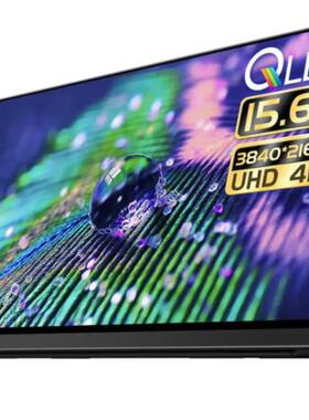 EHOMEWEI L10 Pro 15.6寸显示器防蓝光软钢化保护膜防反光类纸膜