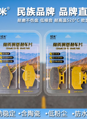 域米适用雅马哈DT125 RE 05-07 XT225小鹿225 93-96 前后刹车皮碟
