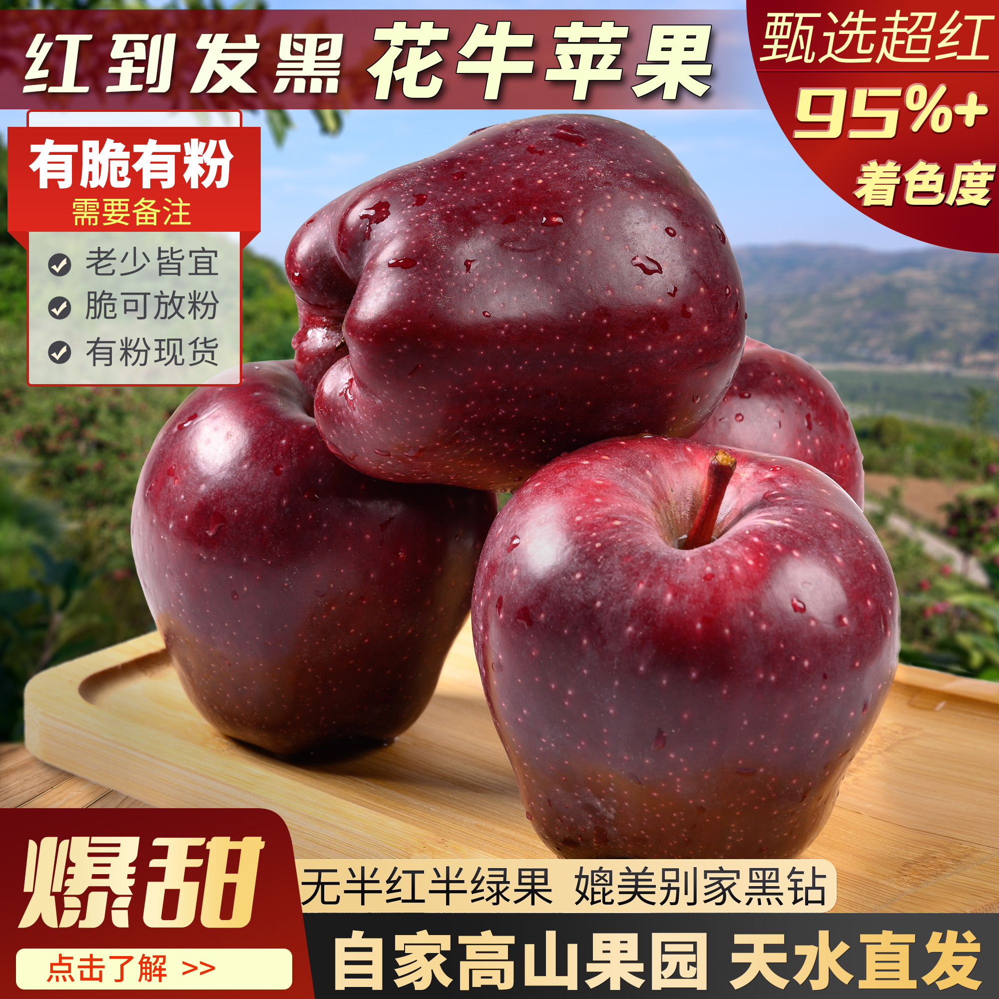 红到发黑正宗花牛苹果有脆有粉