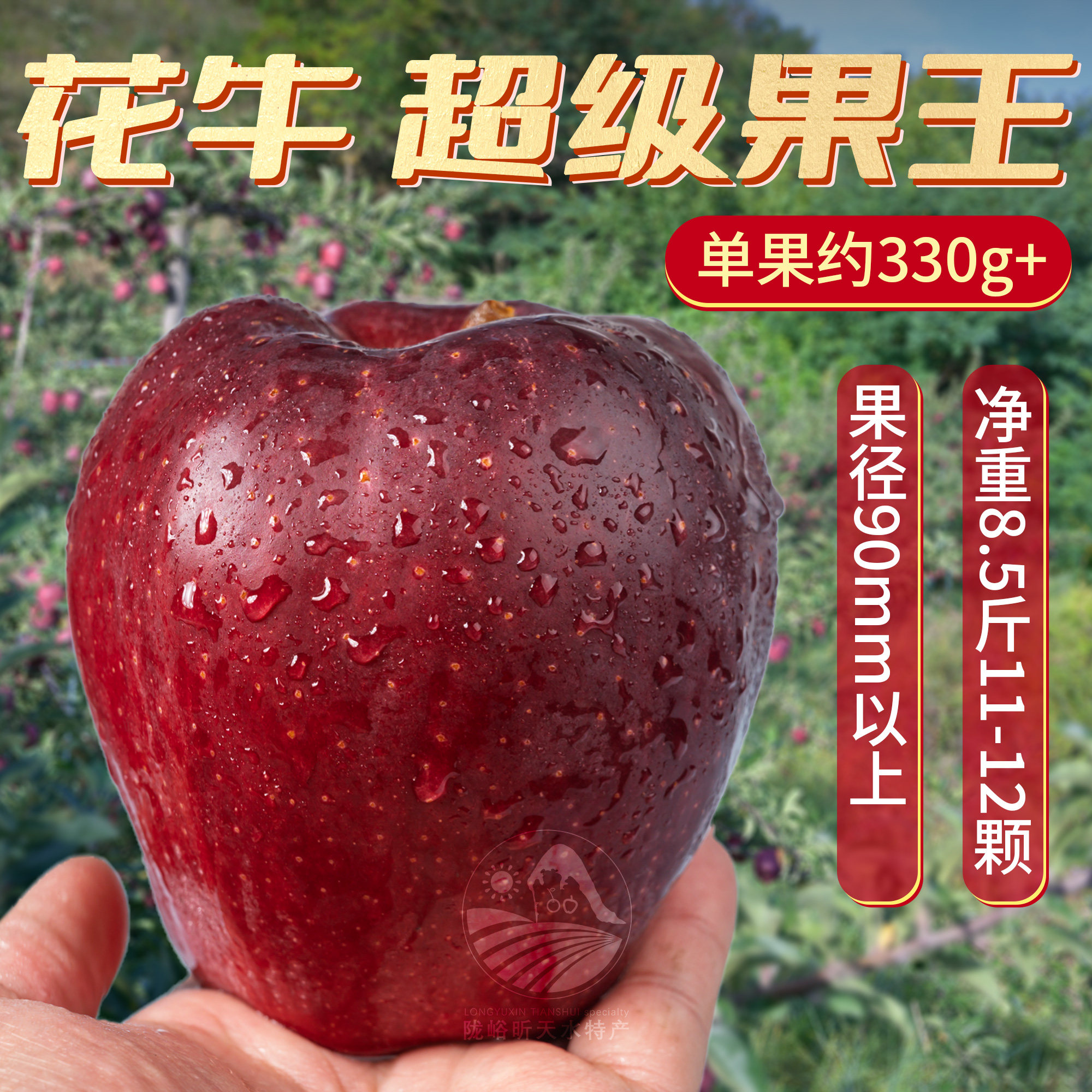 圣诞平安果【全红精品】蛇果高品相质花.牛送盒印贴字,水产肉类/新鲜蔬果/熟食,苹果,淘宝优惠券,粉丝福利购,淘宝优惠卷