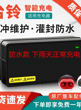 适用台铃灌封板电动车充电器防水48V60V72V4针云插石墨烯通用加长