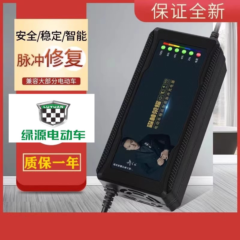 绿源适用电动车充电器