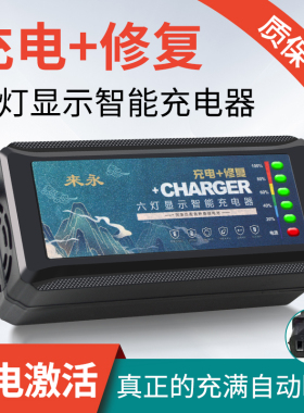 自动断电电动车充电器48V12AH60V20AH72V32A雅迪爱玛防水三轮通用