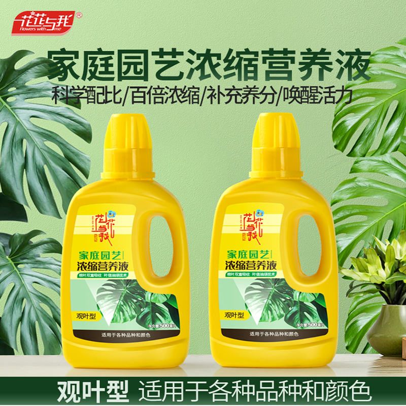 花花与我高浓缩营养液观叶植物发财树专用液体肥盆栽通用叶面肥料