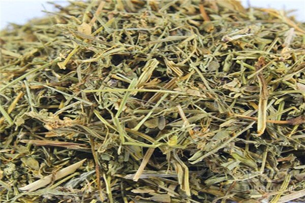 中药材珍珠透骨草别名珍珠透骨草竹格叉吉盖草枸皮草500g克包邮