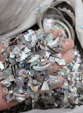 石决明中药材 别名鳆鱼甲千里光真海决海决明海南决 500g克包邮