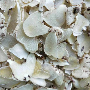 中药材白芨片紫兰、苞舌兰、连及草 旱白鸡 粉白及500g克包邮