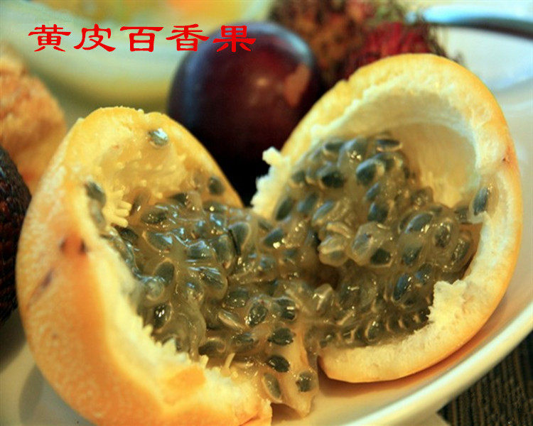 满天星百香果种子紫香西番莲树苗家庭园艺种子