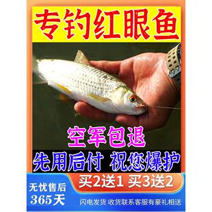 红眼鱼专用饵料野钓专攻赤眼鳟赤睛鱼野草鱼红眼鱼饵料神器专用钩