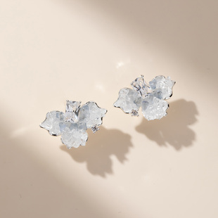 爆闪夏天的耳饰银针耳钉女2025新款爆款高级感小众设计养耳洞耳环