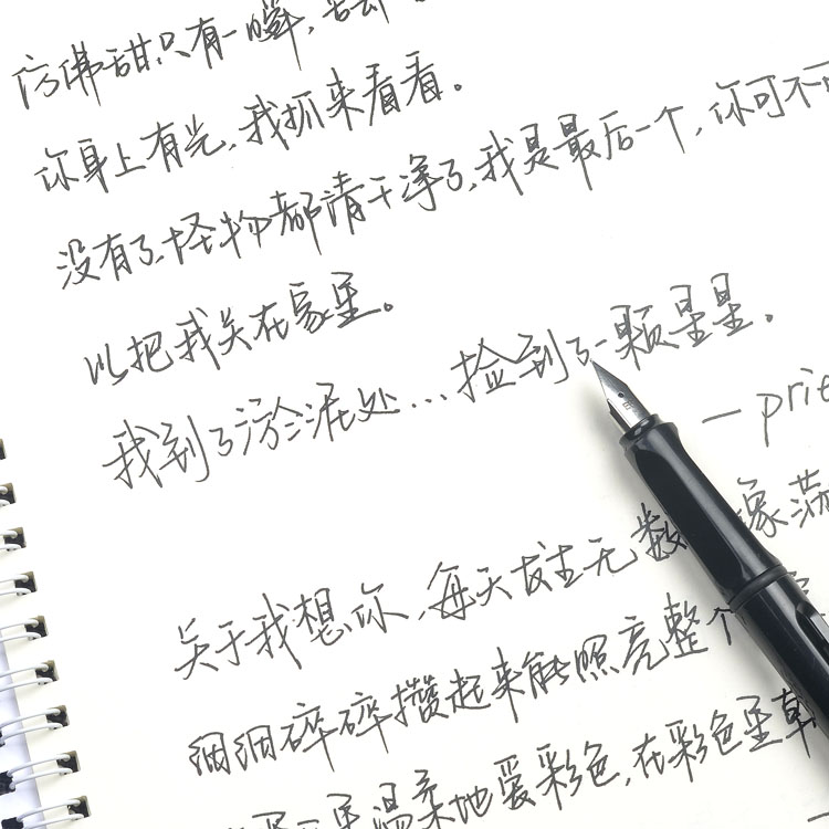 昭亭手写漂亮楷书男生字帖