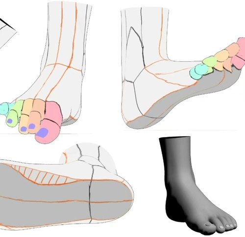 【CSP 3d 模型】结构线清晰的脚3d模型左右  3d脚 可动可调