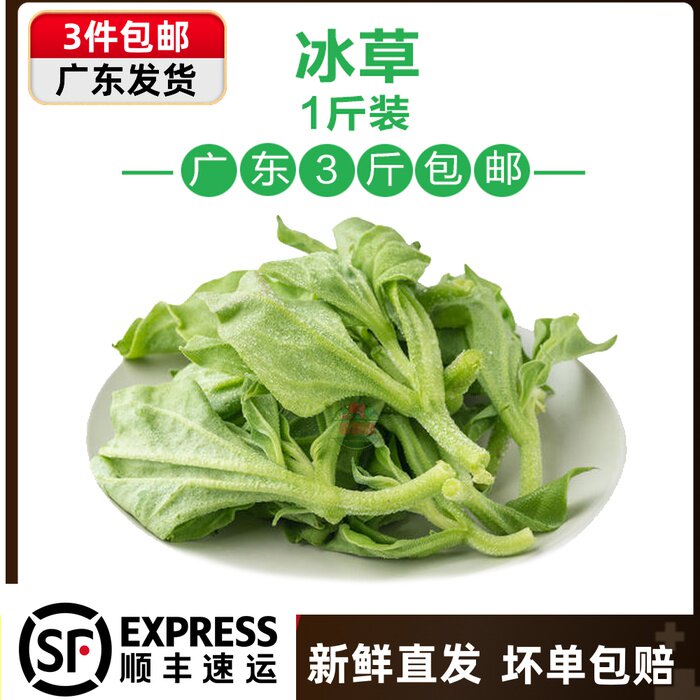 新鲜生吃食冰草冰菜新鲜沙拉蔬菜生菜西餐食材水晶菜500g 3件包邮