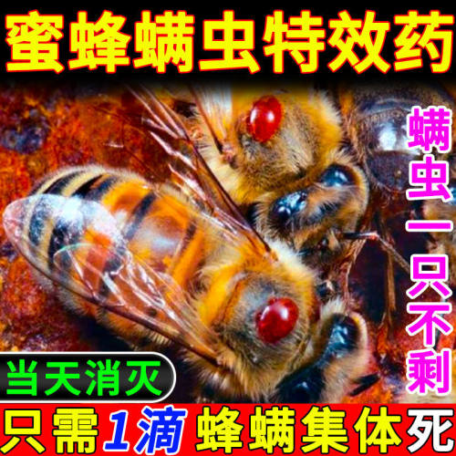 蜜蜂蜂螨价格_蜜蜂蜂螨图片- 星期三