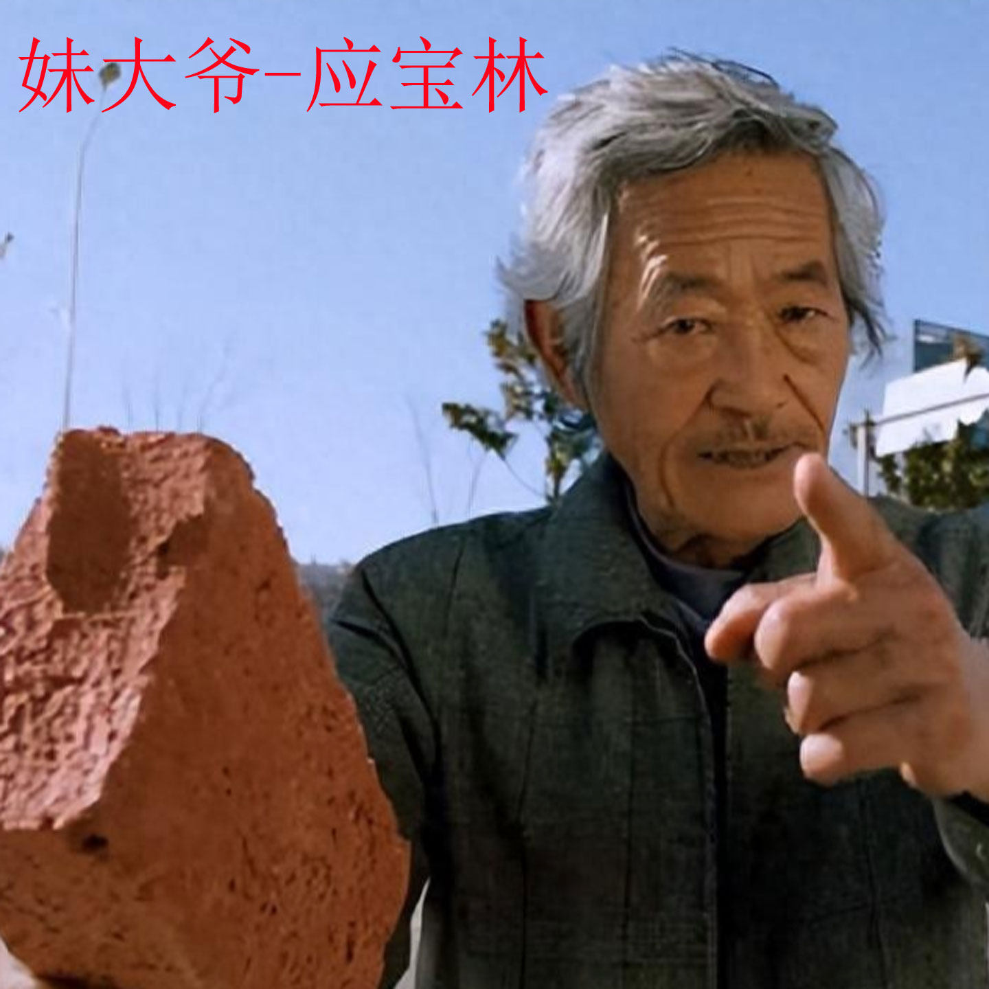 陈翔六点半应宝林同款短卷假发