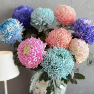 牡丹菊真花鲜花家庭插花水养鲜切