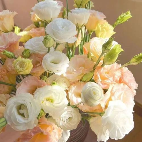 A级过生日洋桔梗鲜花花束